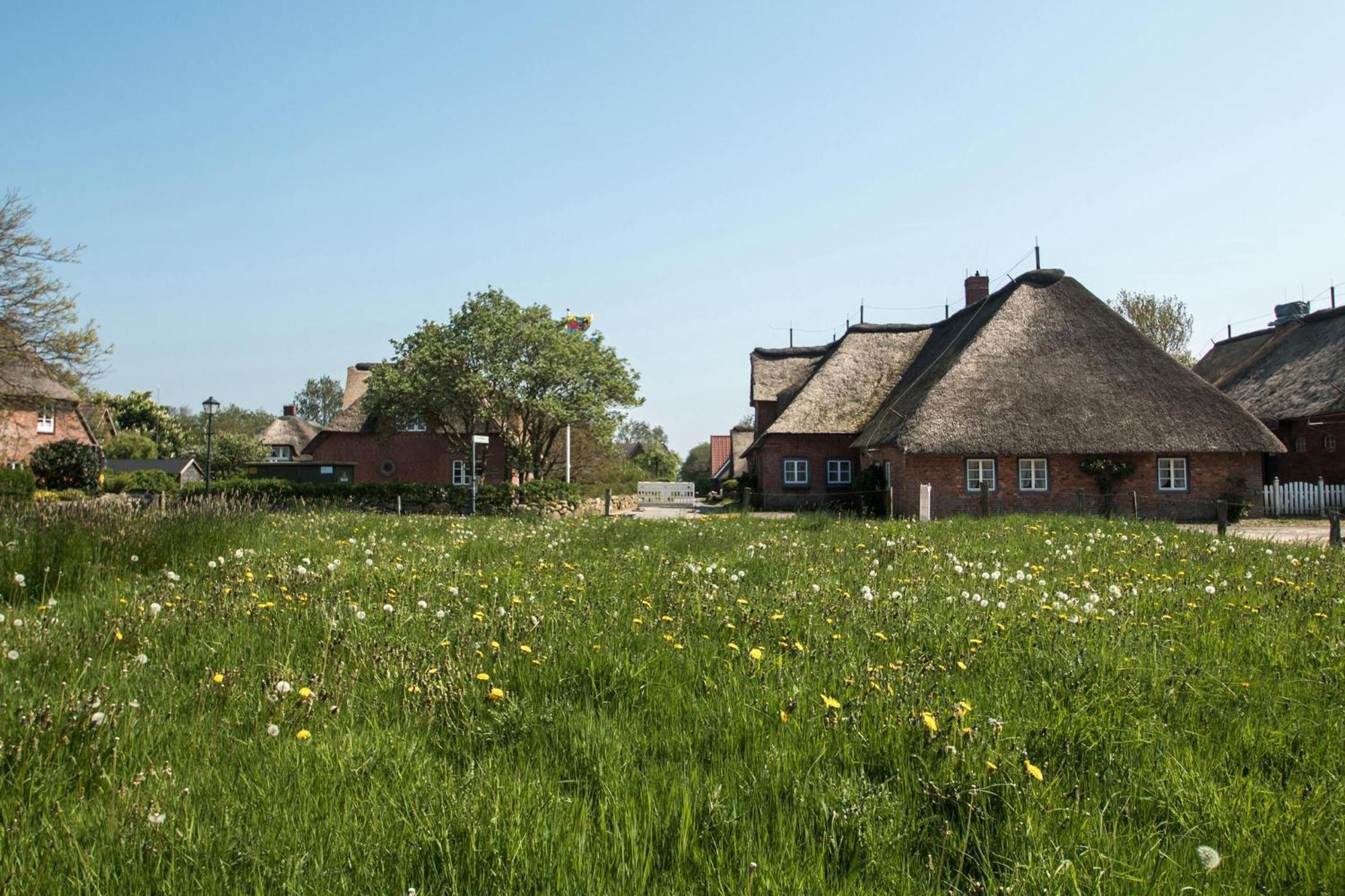 Reethus Gluecklicher Matthias Hausteil Waasterlun Oldsum Екстер'єр фото
